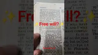 🌟Freewill or God's will