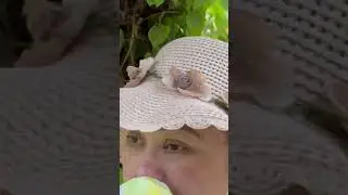 Kemenuh Butterfly Park Bali Indonesia
