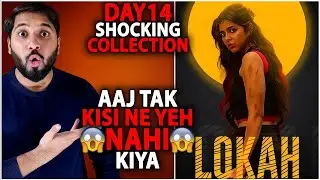 Lokah Chapter 1 Day 14 Box Office Collection India Worldwide | Lokah Chapter 1 Hindi Day5 Collection