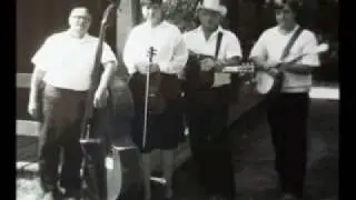 bluegrass 