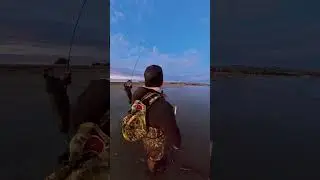 The Crab Action Has Been Hot!