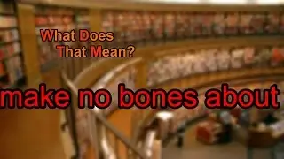 What does make no bones about mean?