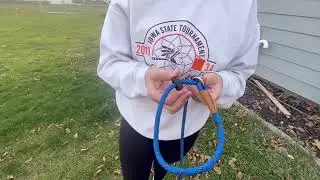 Honest Review   lynxking Slip Lead Dog Leash Reflective, Heavy Duty