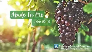 John 15:1-5 Abide in Me