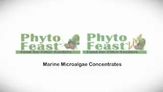 Apples to Algae