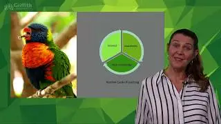 Griffith 3MT 2019 Finalist Christa van Aswegen