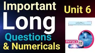 Physics Class 11 Unit 6 New Book | Important questions of unit 6 For Final Exams preparation 2026