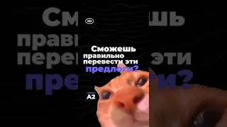 Практикуем предлоги места! Уровень A2🐱 #english #английский #quiz #engquiz