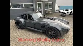 1965 Shelby Cobra Car Model's