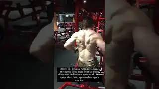 Back Training Tips