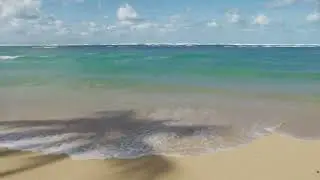 Hawaii's Ocean Rules  A Local's Guide to Beach Safety