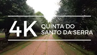 Quinta do Santo da Serra Madeira Island 4K, Relaxing Walking in Nature ASMR
