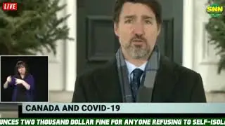 SNN : LIVE -