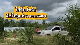Fertilize palm trees and train children to do farming work.