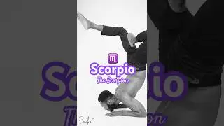 Scorpio The Scorpion