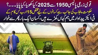 Punjab Announces Rs15bn Package For Wheat Farmers | Agriculture Policy