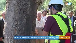 حملة جني الفلين لسنة 2024.. الوكالة الوطنية للمياه والغابات تطلق برنامجا رائدا لعصرنة المهن الغابوية