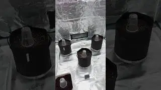 Mars Hydro 5x5 Tent FC-6500 Light with 6 Inch InLine Fan and Exhaust