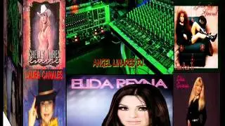 reynas texanas mix angel linares