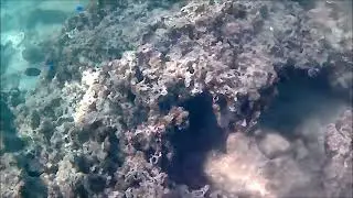 Miyakojima island snorkeling /šnorchlování ostrov Miyako Japonsko - November 2025