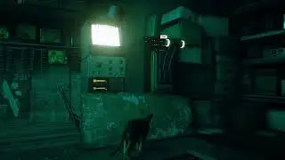 Stray   Beginning Sequence Gameplay on intel iris xe high settings