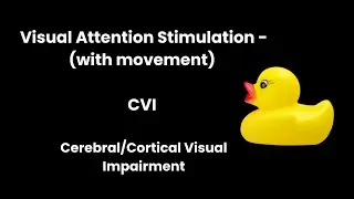 Wiggly Duck | Visual Attention Stimulation | Cerebral Cortical Visual Impairment CVI