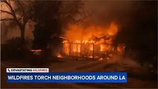Wildfires torch neighborhoods in Los Angeles