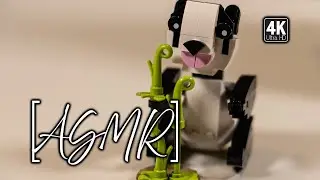 [ASMR] Creator Panda Bear - 30641- Relaxing LEGO Building - No Talking - Binaural Audio