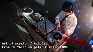 Concert using portable turntable 