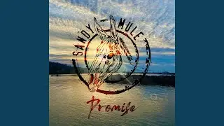 Promise (feat. Todd Hoffman)