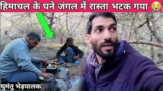 शाम के Time JUNGLE में रास्ता भटक गया 😭😭. Camping with Nomadic Shepherd's in deep Forest. Himachali