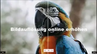 Bildqualität online kostenlos verbessern