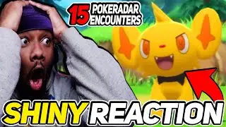 Shiny Shinx in 15 encounters | Pokemon Brilliant Diamond Shining Pearl Shiny Reaction
