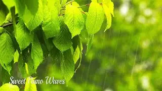Rain Sounds and Relaxing Piano Music - Calming Background Piano Music For Stress Relief, Sleep Music