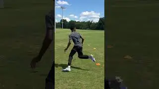 Looking for a trainer in the Charlotte area. Sac Academy Training 704-449-5492