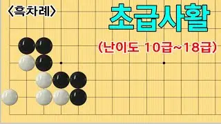 초급사활 #85 ( 8문제 난이도 10급~18급 )