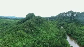 Aerial View of Kalimantan Forest with a Small River | Free Footage ID