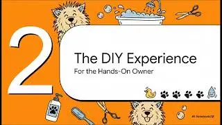 DIY or Done-For-You: Finding the Best Dog Grooming & Self-Serve Washes in Vancouver, WA