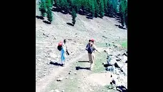 Swat Mankial Banda Got Hunting😍