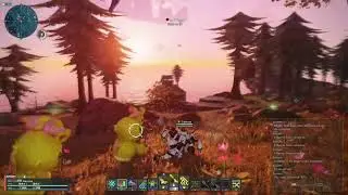 Rappies Being Adorable for 58 Seconds