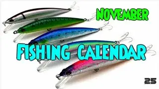 November fishing Calendar