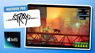 Stray &mdash; MacBook Pro M5 (14-inch | 16GB) FPS Performance Test