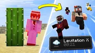 Minecraft, but if we take damage, EVERYONE gets a random effect