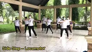 Locomotor and Non-locomotor Movements in a Dance// Shake it Off