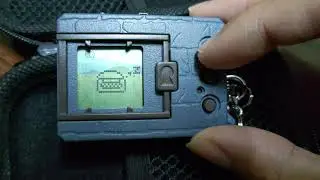 Digimon Ver. revival sleep time evolution.