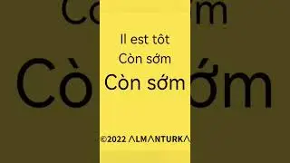 Vietnamienne, bases pour tous les premiers pas en vietnamien, connaissance de base du vietnamien