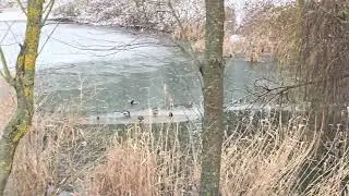 Не разрешают вести съёмку возле стрельбища