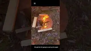 zelda player goes outside to make honeybutered apple on fire