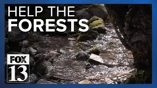 Why is it so hard to fill jobs working in Utah's beautiful forests?