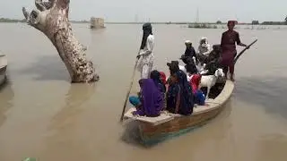 Indus river Flood In kacha Area